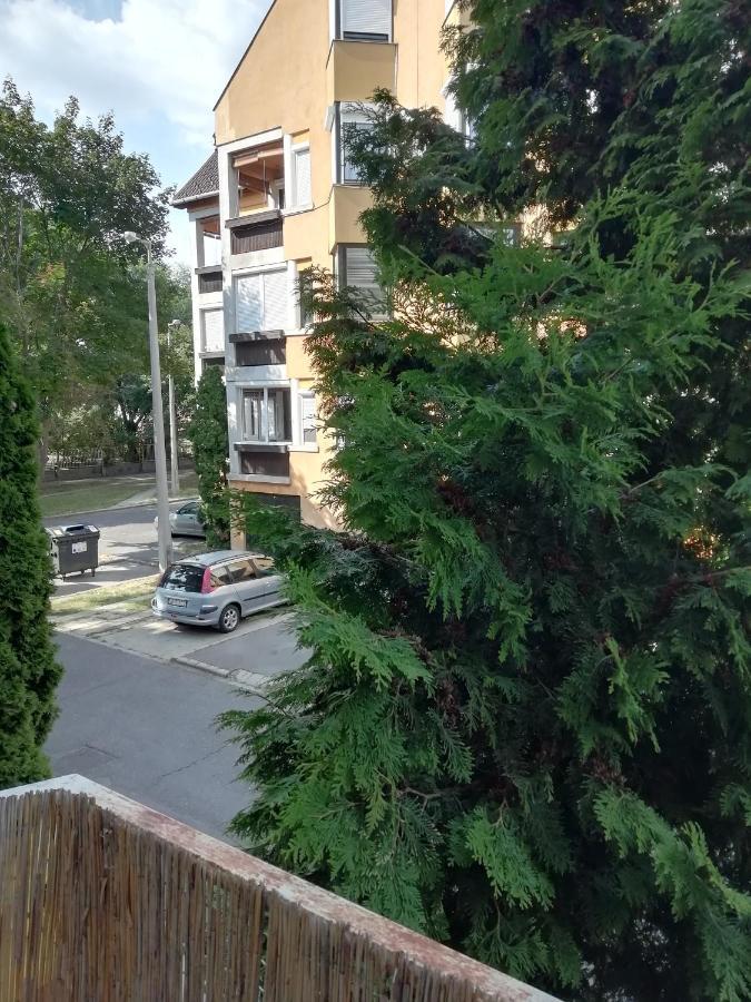 Apartmán Rokus Apartman Segedín Exteriér fotografie